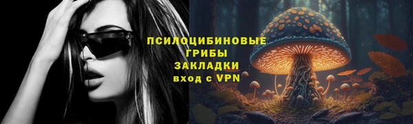 mix Белокуриха