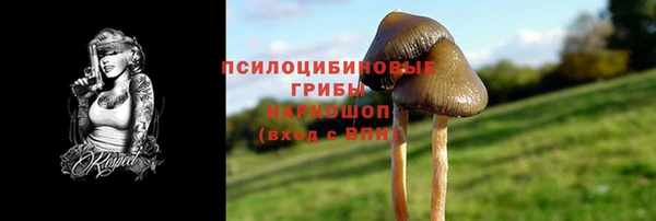 mix Белокуриха