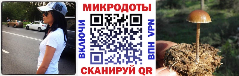Галлюциногенные грибы мухоморы  Кохма 